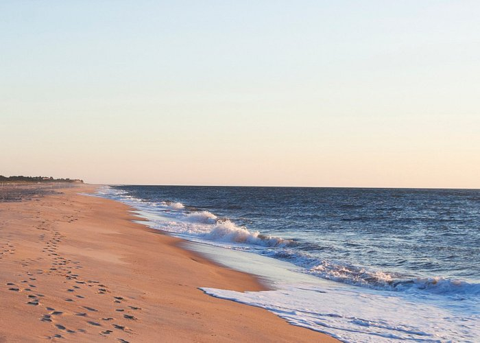 top best beaches in delaware