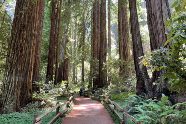 top best day trips from san francisco