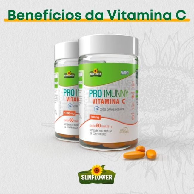 top best dietary supplement manufacturers in brazil