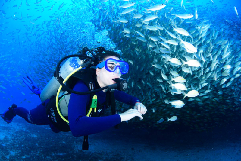 top best dive sites in brazil