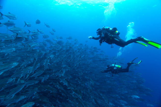 top best diving places in the world
