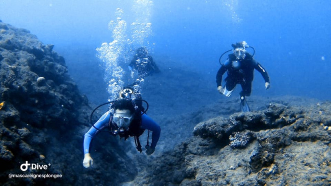top best diving sites in reunion (france)
