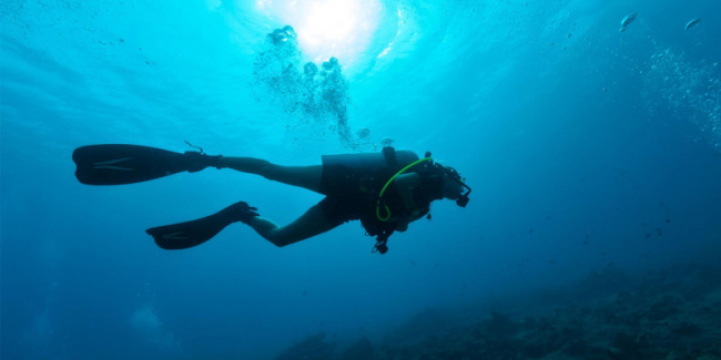 top best diving sites in reunion (france)