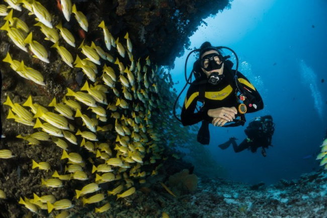 top best diving sites in spain