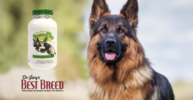 top best dog food brands for german shepherds