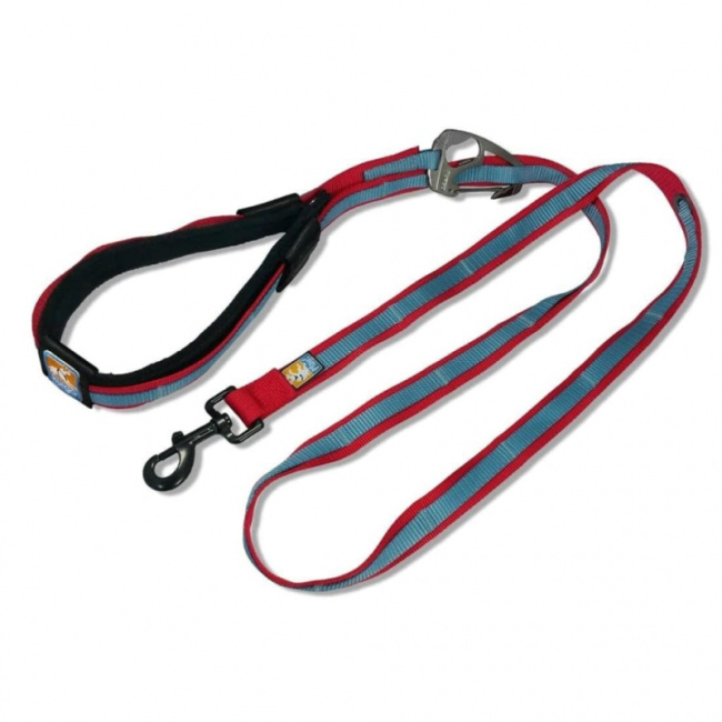 top best dog leashes to buy