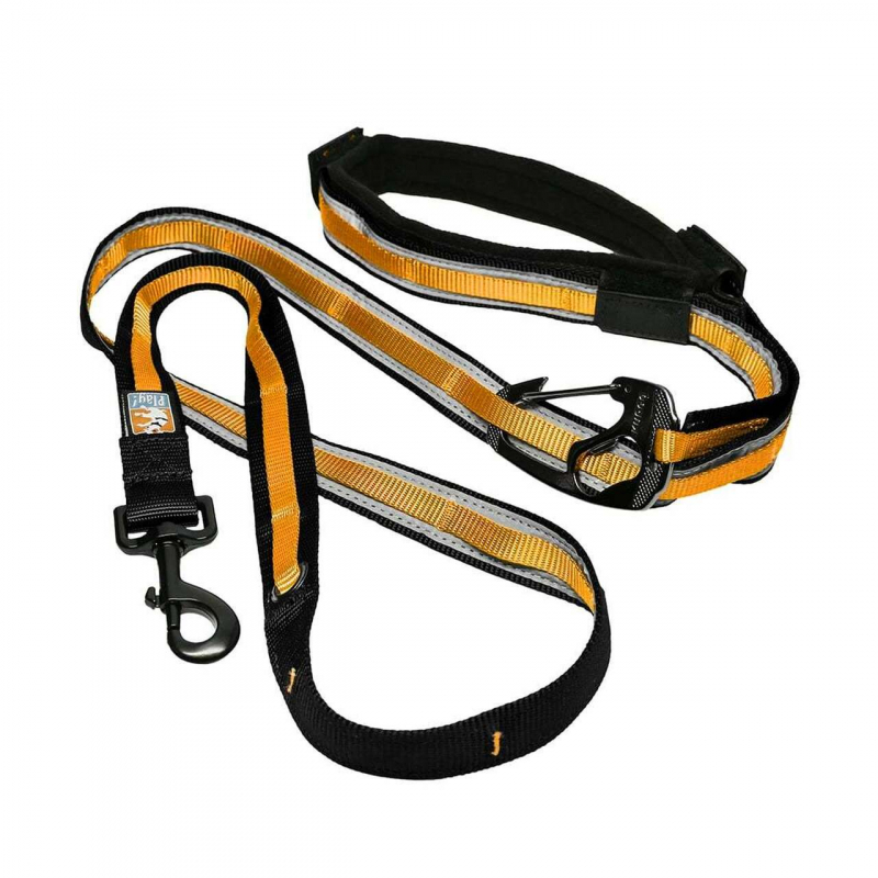 top best dog leashes to buy