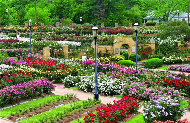 top best parks to visit in san jose