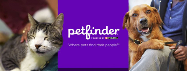 top best pet adoption sites