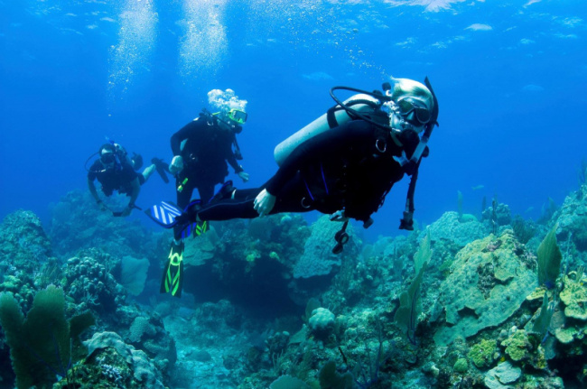 top best places for scuba diving in saint lucia