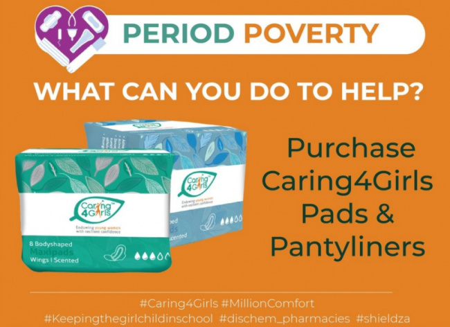 top best sanitary pad brands in south africa