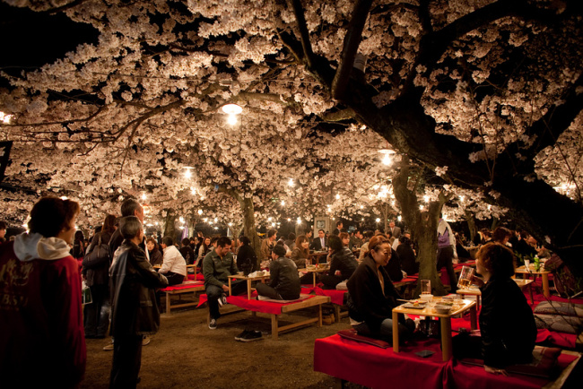 top best things do do in japan