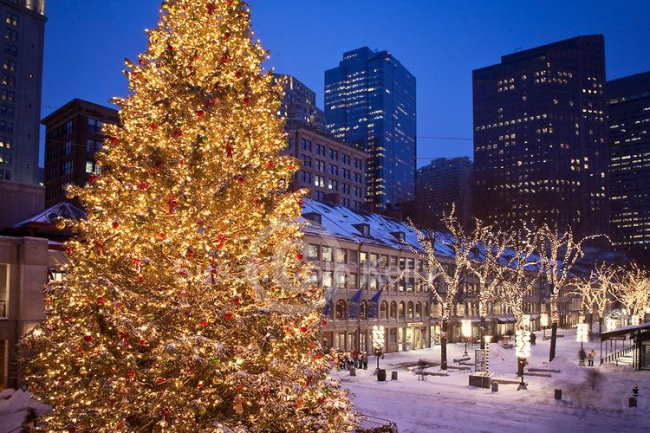 top best things to do in boston in winter