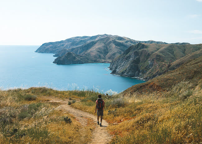 top best things to do in catalina island