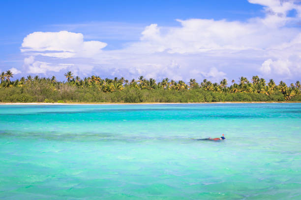 top best things to do in dominican republic