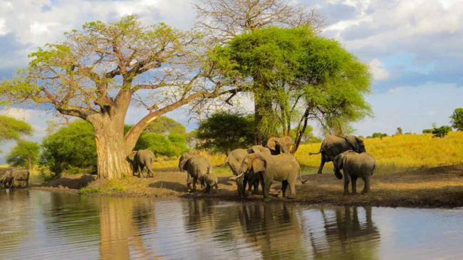 top best things to do in tanzania