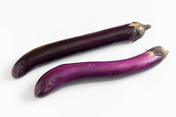 top best types of eggplants