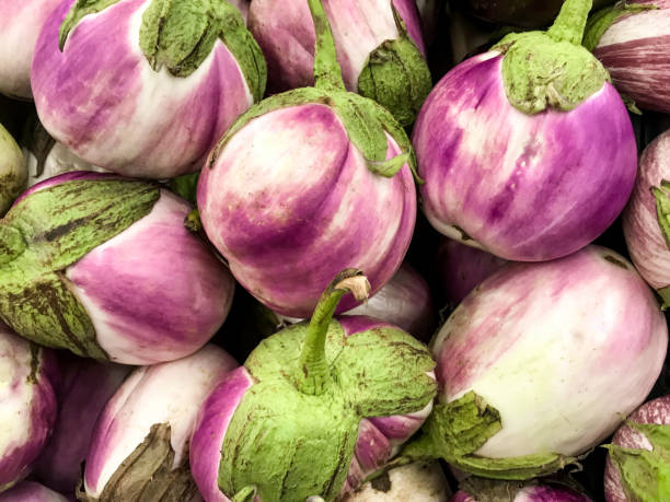 top best types of eggplants