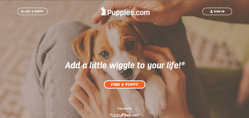 top best websites to find a puppy