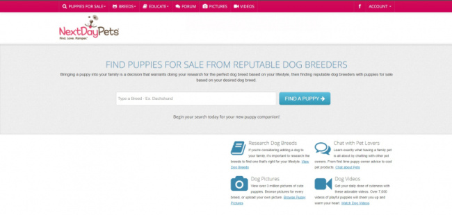 top best websites to find a puppy