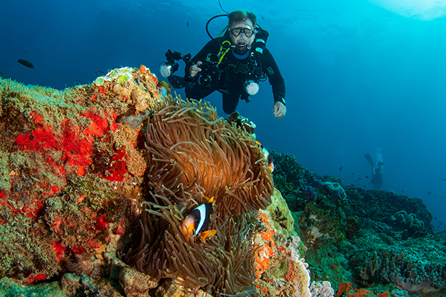 top dive sites in south africa