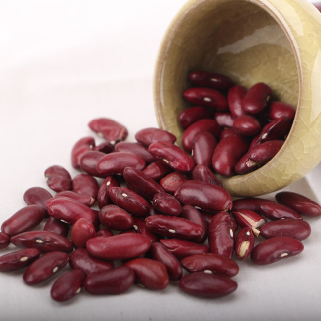 top foods that are high in lectins