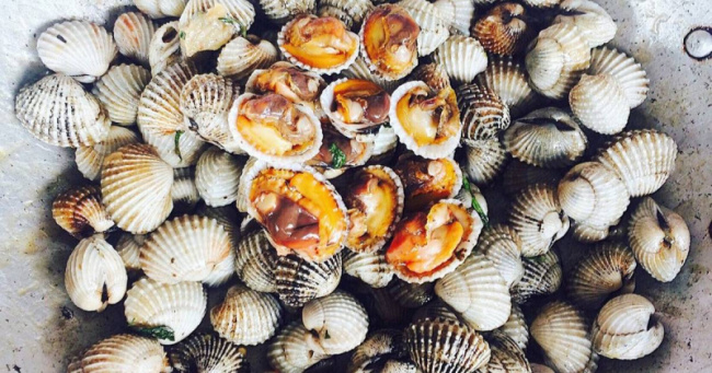 top health benefits of eating clams