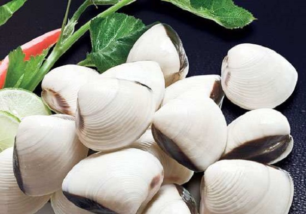 top health benefits of eating clams