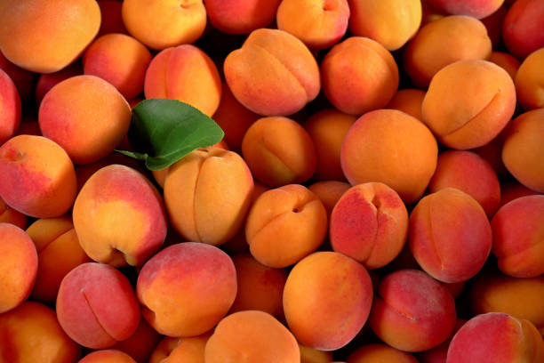 top health benefits of eating peaches