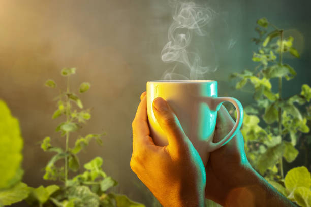 top health benefits of peppermint tea