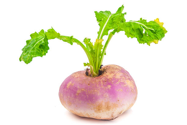 top health benefits of turnip