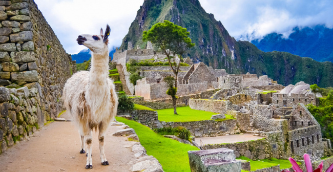 top interesting facts about the incas and their empire