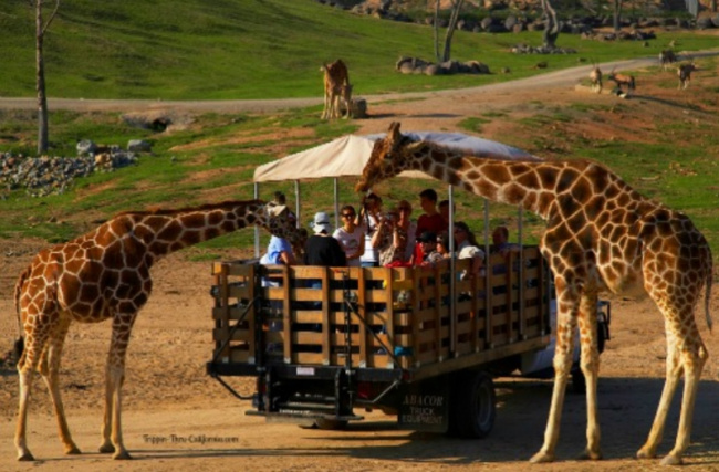 top largest zoos in the us