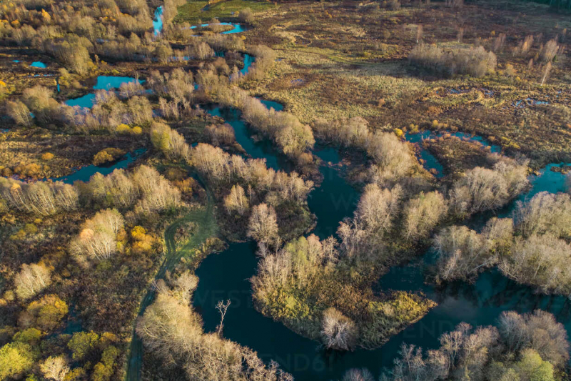 top longest rivers in estonia