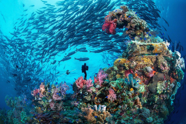 top most beautiful dive sites in the federated states of micronesia