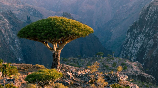 top most beautiful islands in yemen