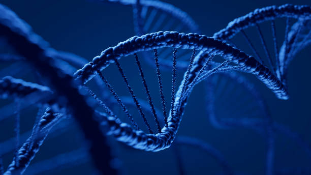 top questions about dna answered