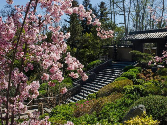 top the most beautiful botanical gardens in l.a.