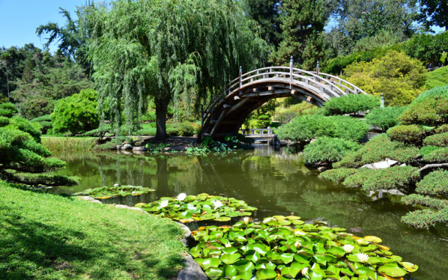top the most beautiful botanical gardens in l.a.